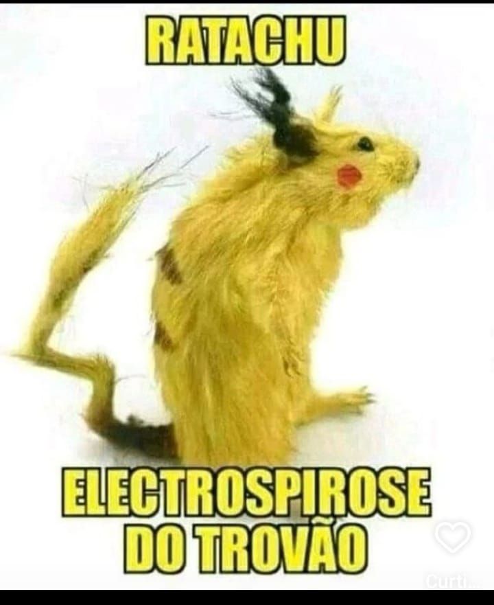 Ratachu