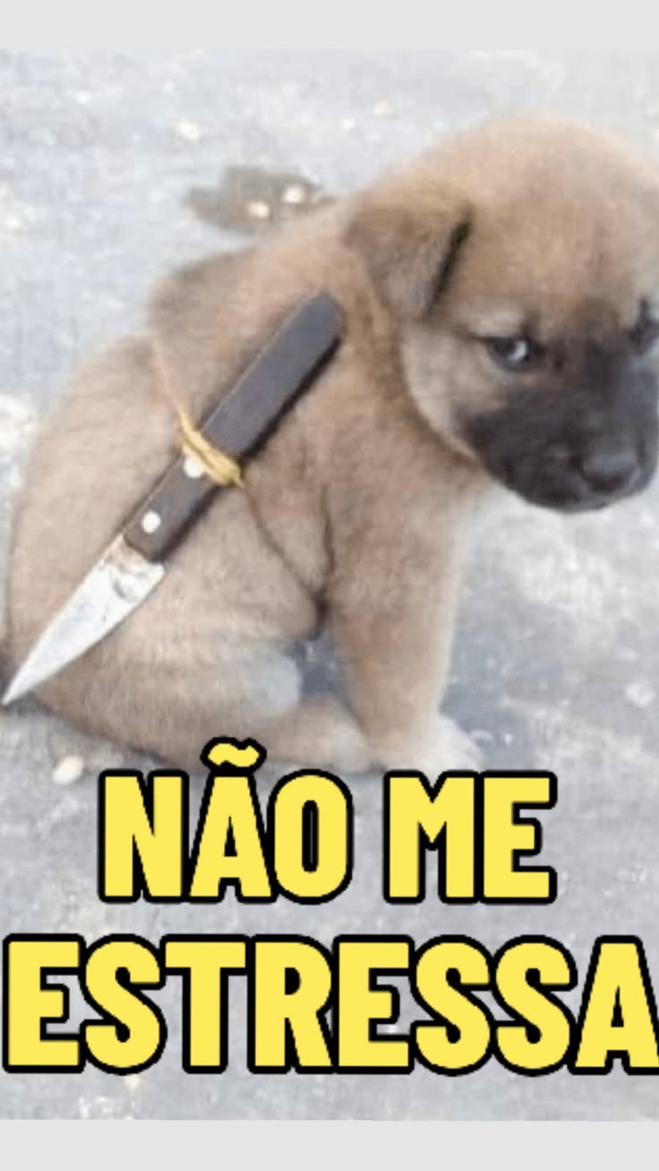 Não me estressa