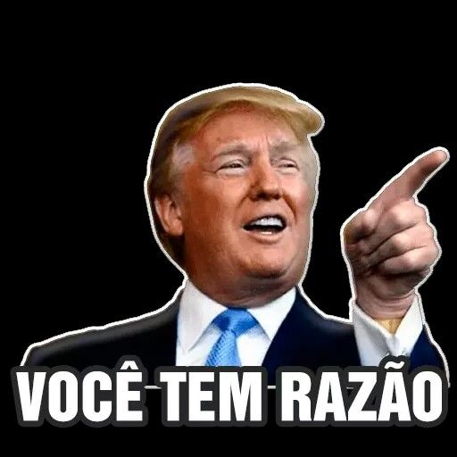 Você tem razão